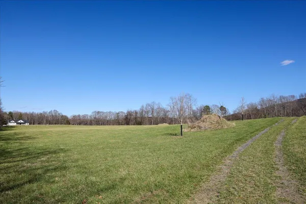 a view of a field with an ocean