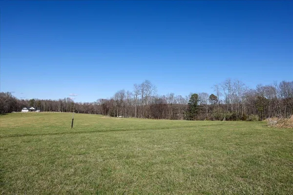 a view of outdoor space with green field and trees