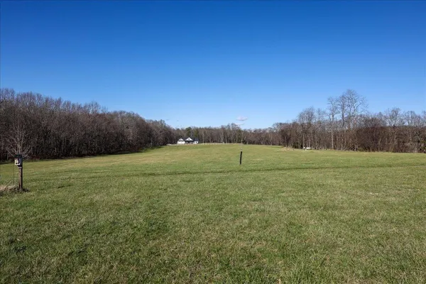 a view of a field with trees in background