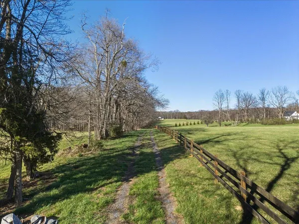 a view of a field with large trees