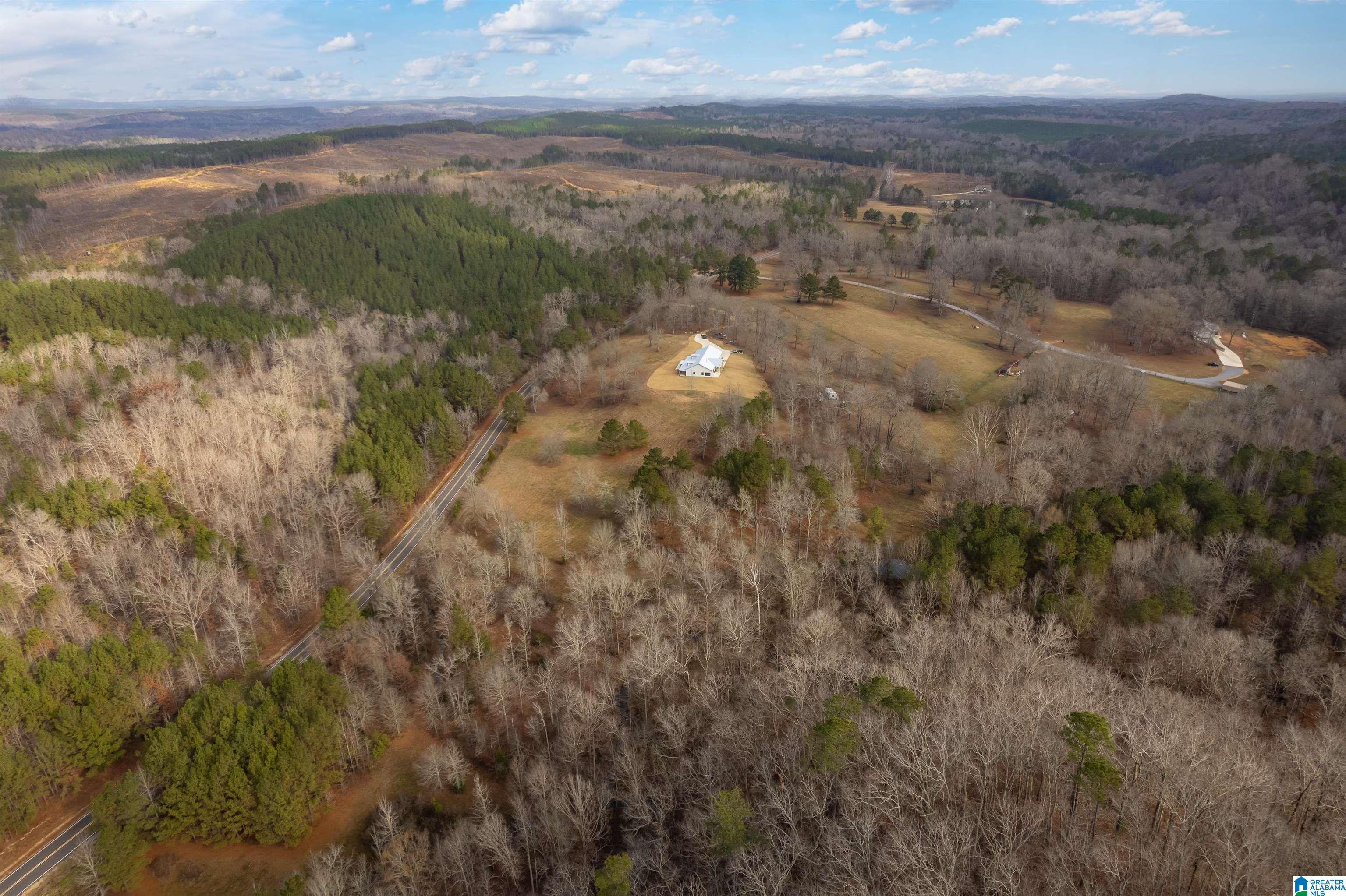 674 Dry Creek Road Cropwell, AL 35054 - Photo 44 of 49