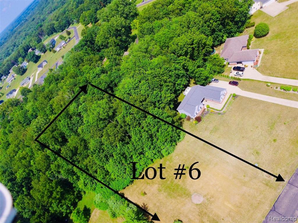 21760 Raspberry Ridge Pinckney, MI 48169 - Photo 4 of 18