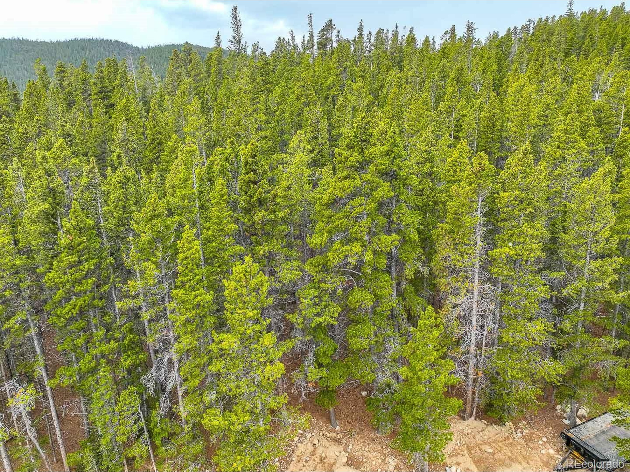 935 Silver Creek Road Idaho Springs, CO 80452 - Photo 2 of 38