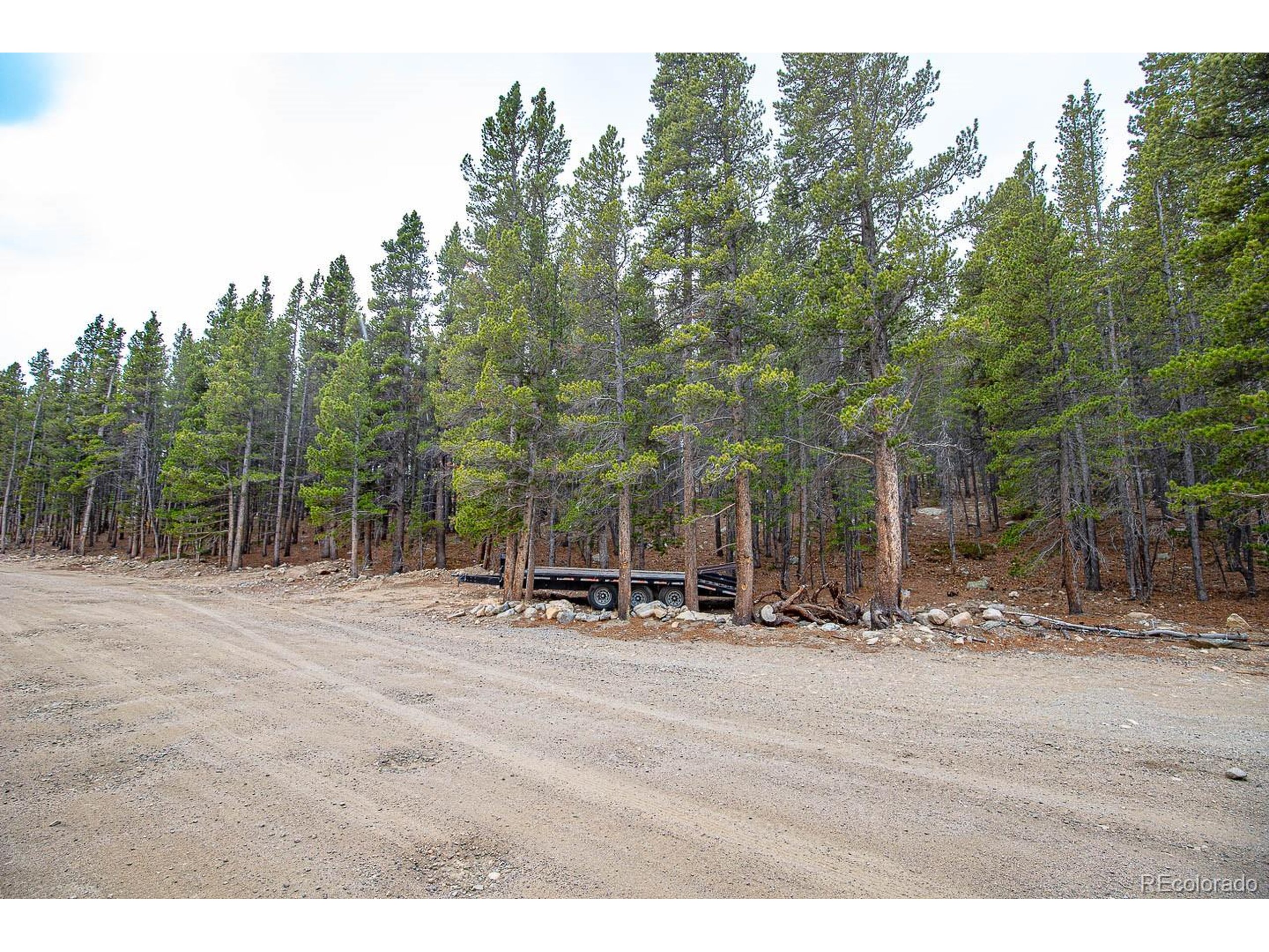 935 Silver Creek Road Idaho Springs, CO 80452 - Photo 6 of 38