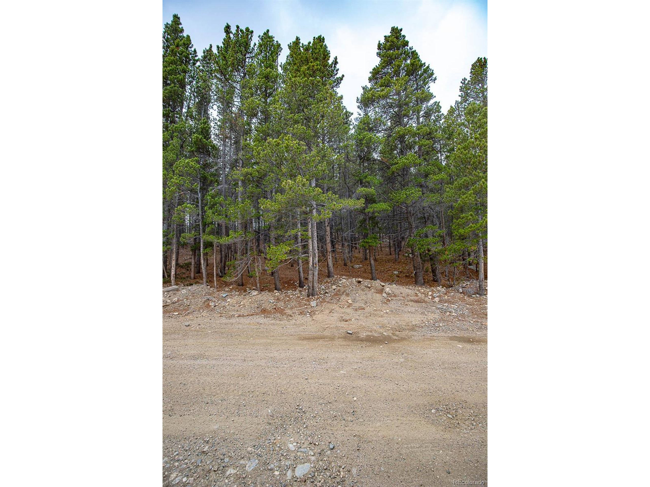 935 Silver Creek Road Idaho Springs, CO 80452 - Photo 7 of 38