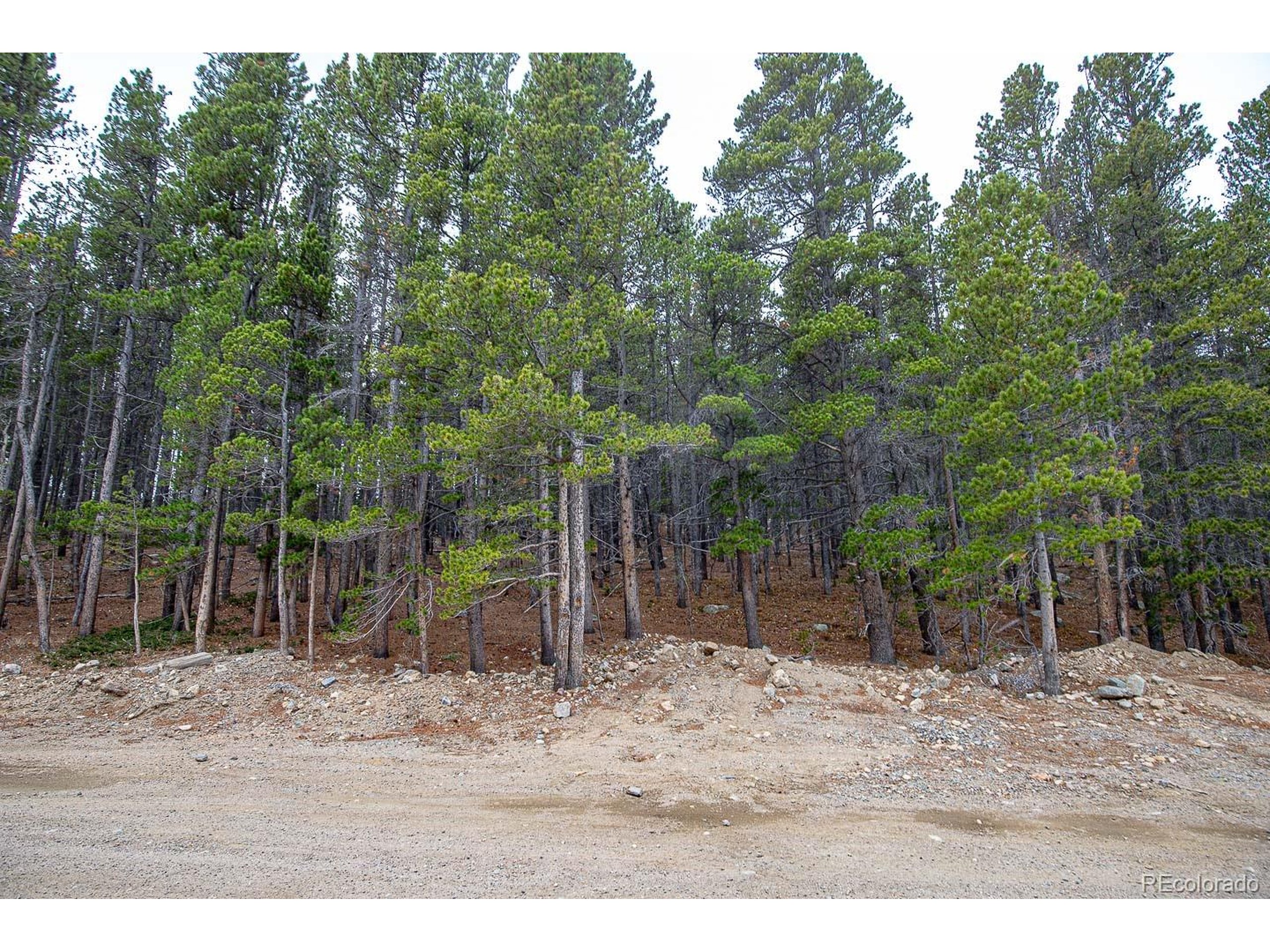 935 Silver Creek Road Idaho Springs, CO 80452 - Photo 10 of 38