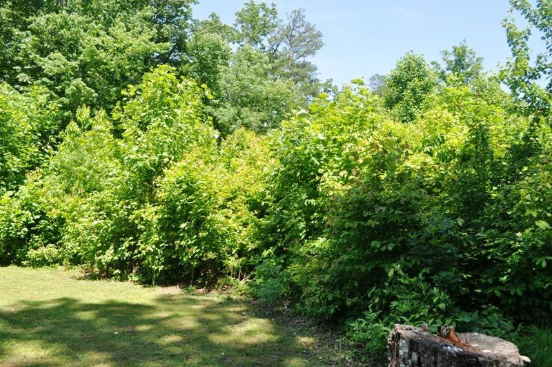 135 Childers Road Clay City, KY 40312 - Photo 4 of 35 Photo 4