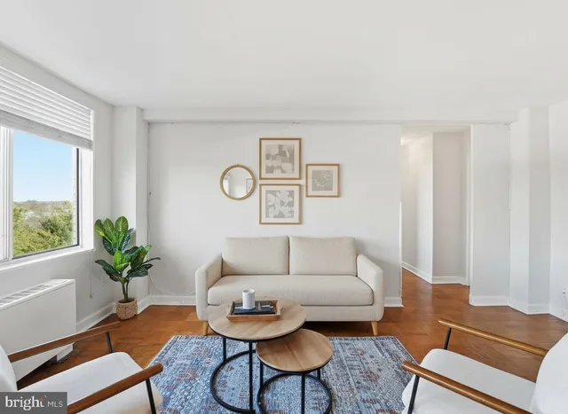 a living room with furniture and a potted plant