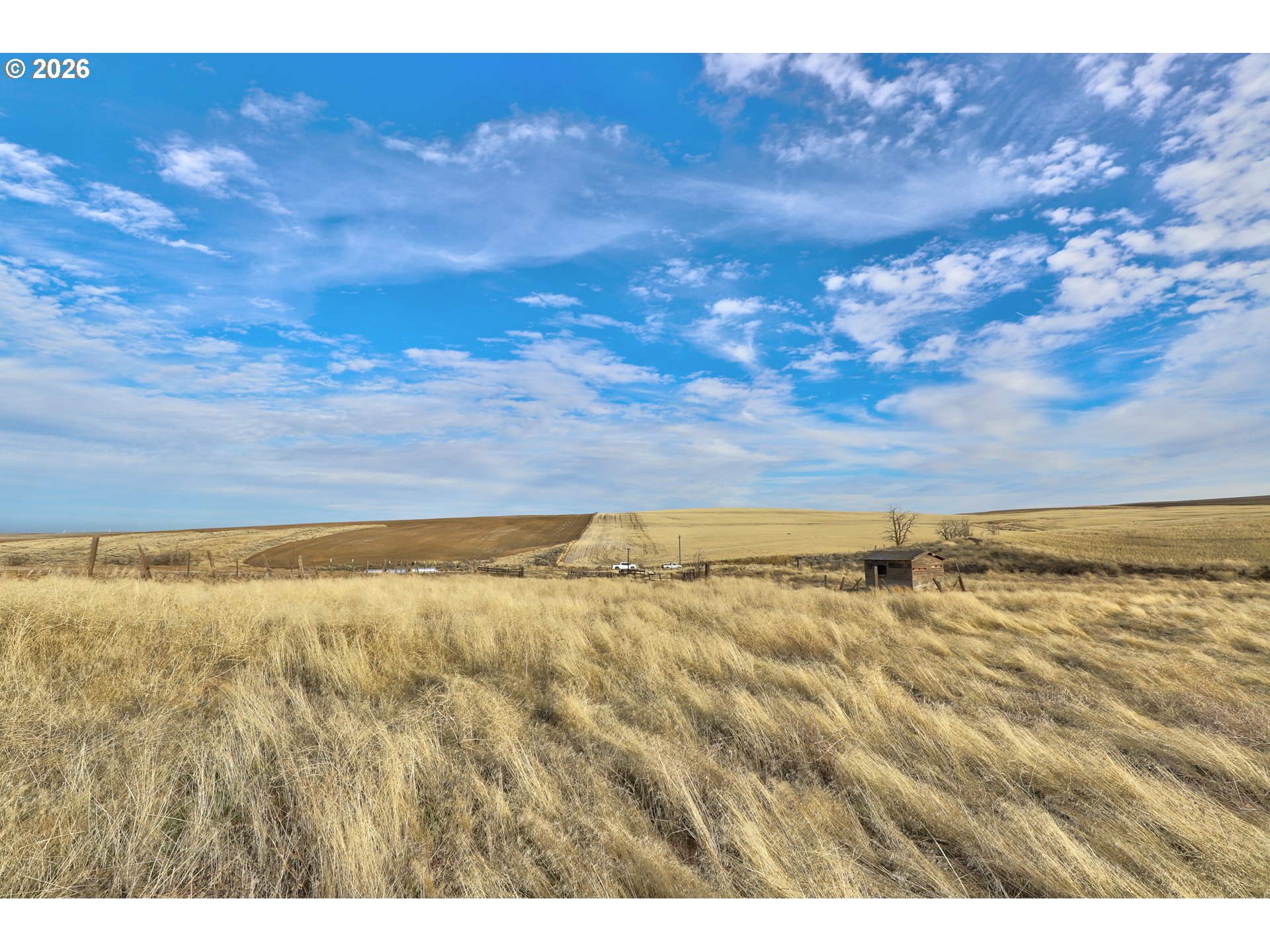 62722 Hart Road Moro, OR 97039 - Photo 12 of 20