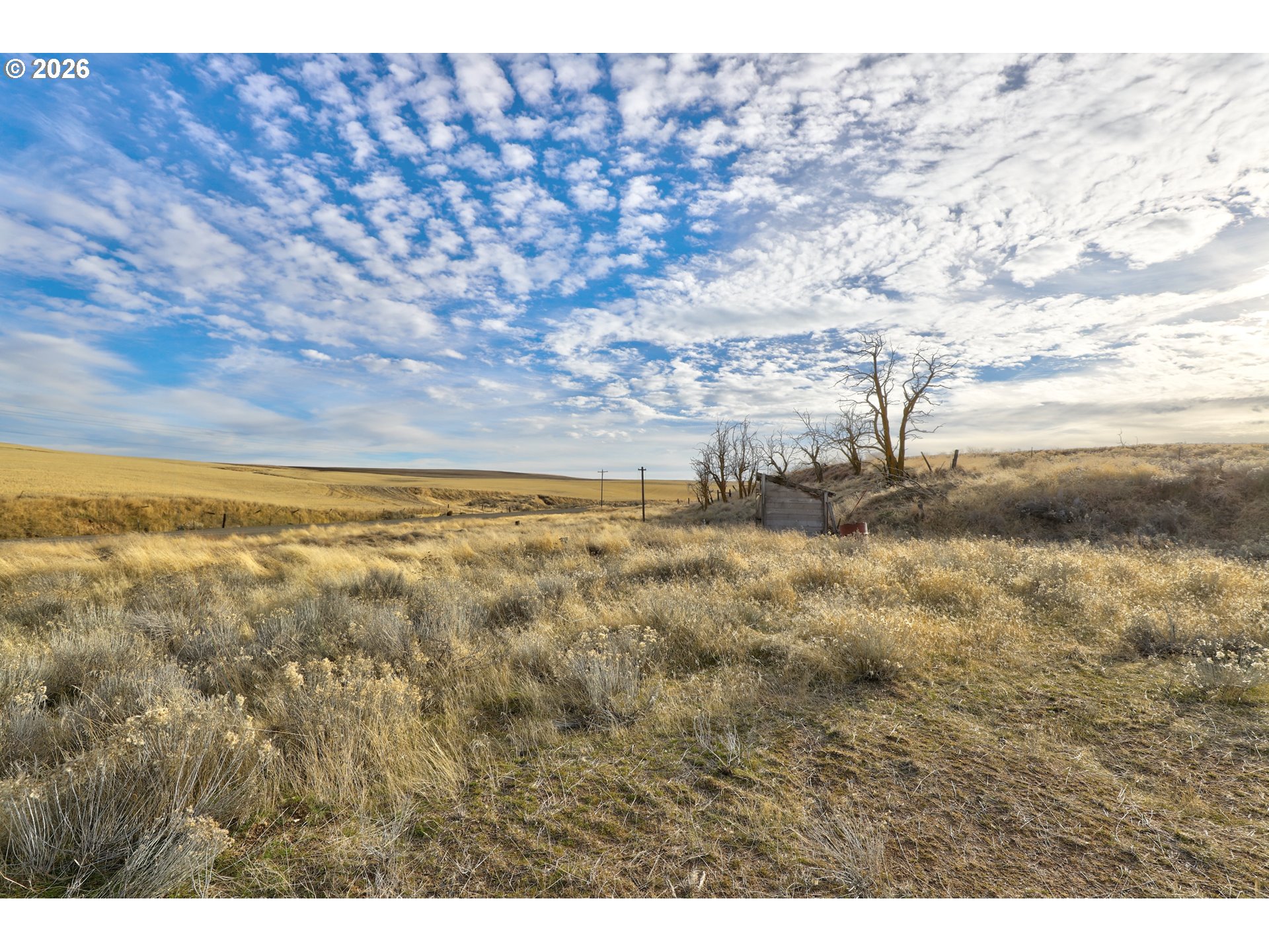 62722 Hart Road Moro, OR 97039 - Photo 18 of 20