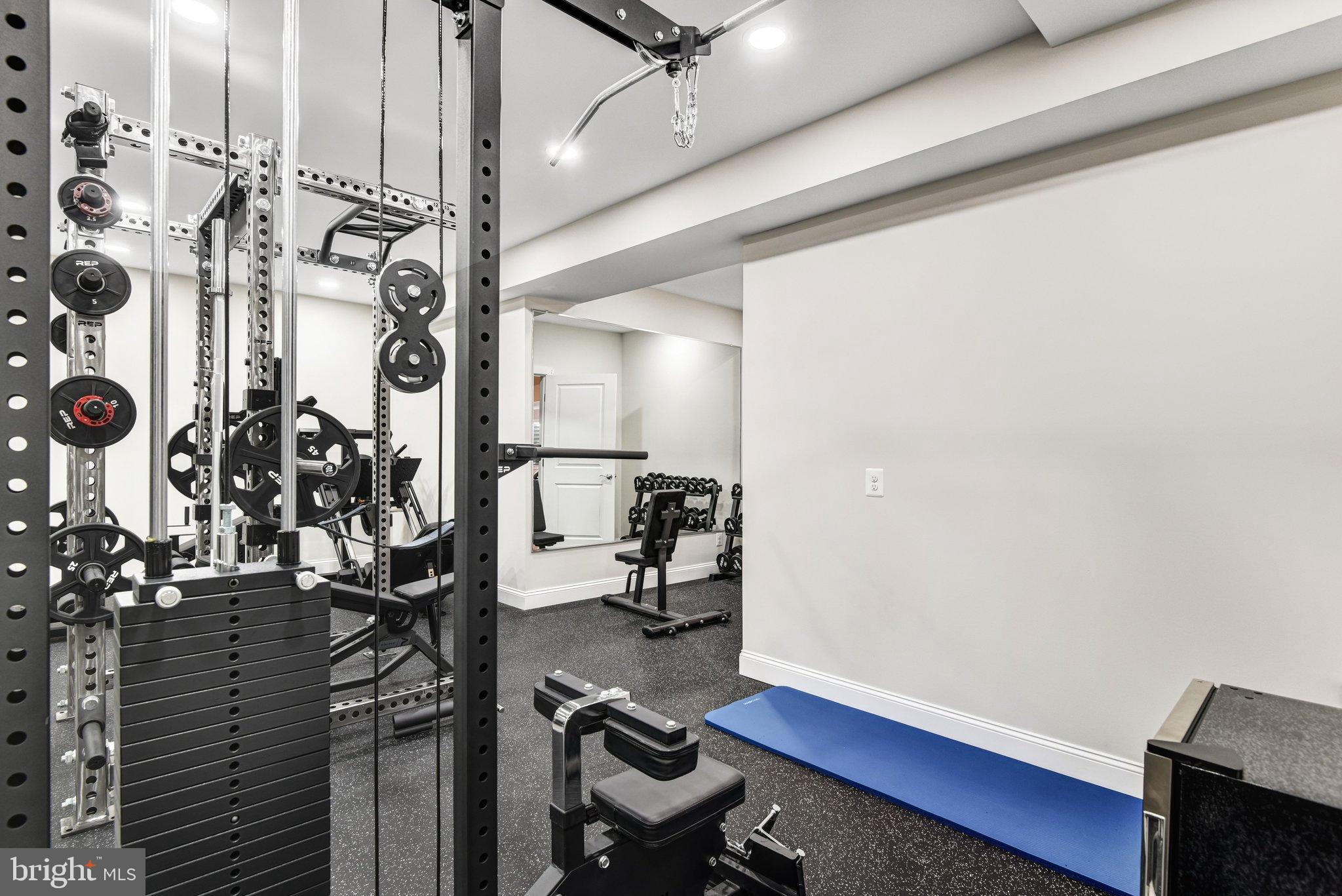 43199 Dogan Rdg Place Centreville, VA 20120 - Photo 64 of 86 Modern home gym with sleek equipment.