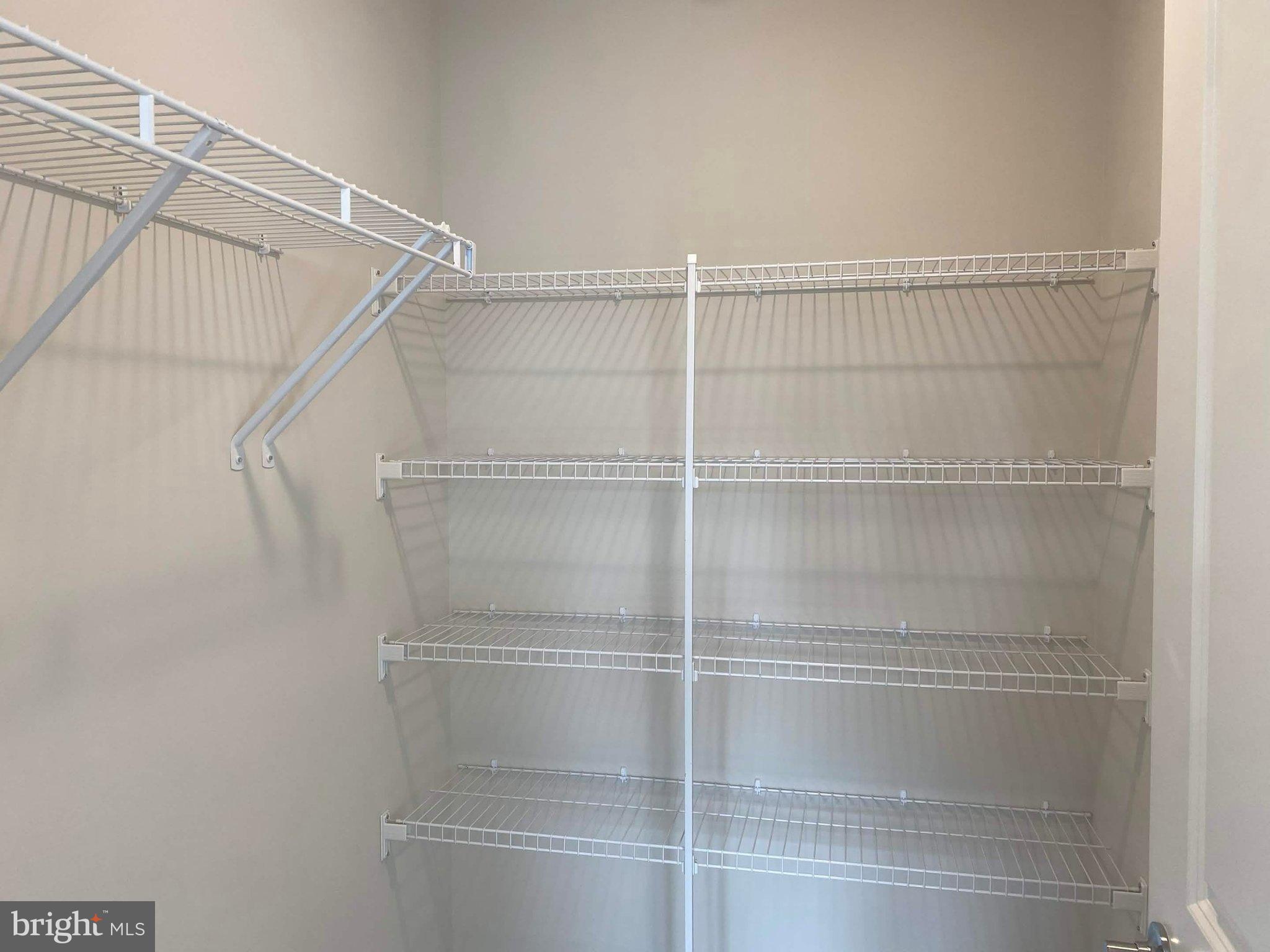 43199 Dogan Rdg Place Centreville, VA 20120 - Photo 73 of 86 a view of walk in closet with empty racks