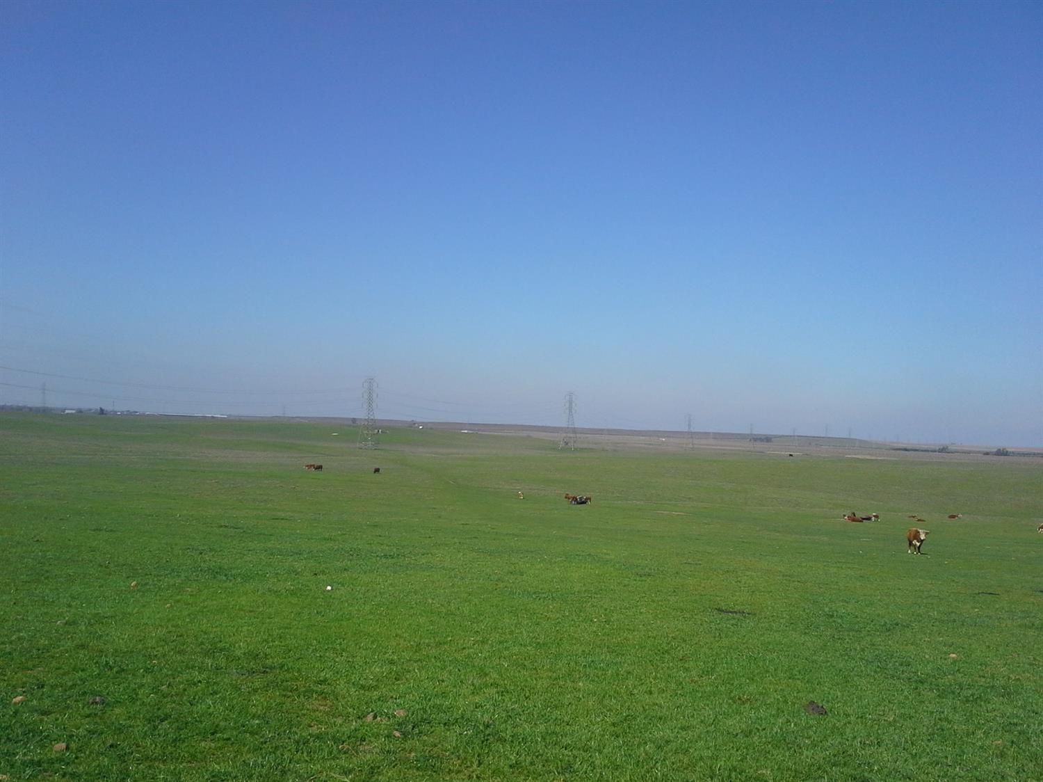 29939 Highway 4 Farmington, CA 95230 - Photo 4 of 25 a view of a green field with clear sky