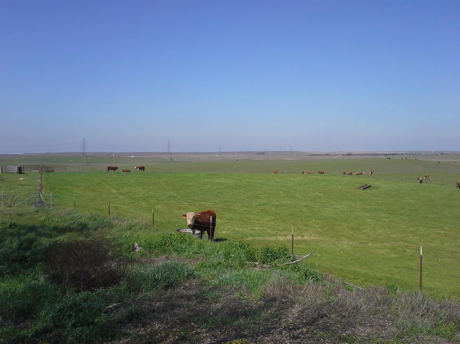 29939 Highway 4 Farmington, CA 95230 - Photo 5 of 25 a view of a field with an outdoor space