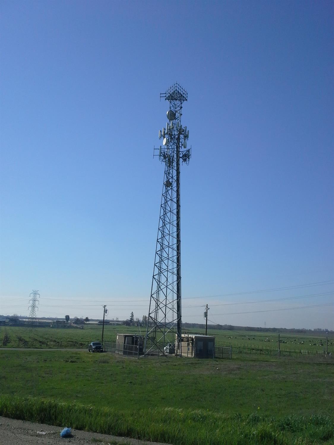 29939 Highway 4 Farmington, CA 95230 - Photo 7 of 25 a view of a garden with a tree