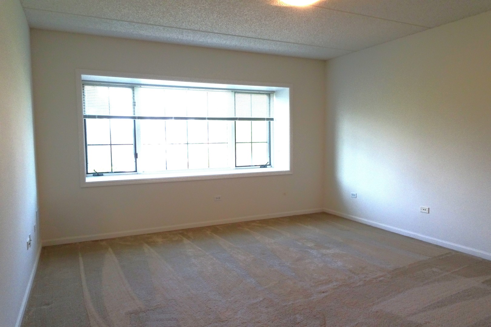 5 West Central Road, Unit 313 Mount Prospect, IL 60056 - Photo 7 of 16