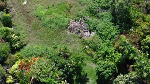 $165,000 | 12-7136 Lot 98 Kalaunu Street, Pahoa, HI 96778