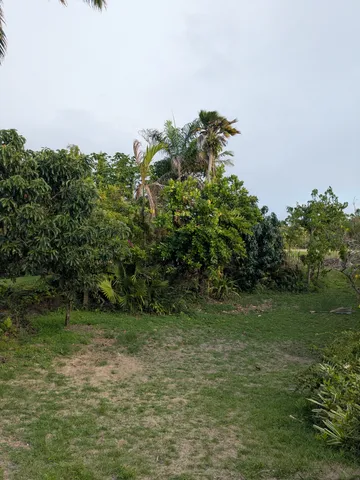 $165,000 | 12-7136 Lot 98 Kalaunu Street, Pahoa, HI 96778