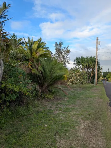 $165,000 | 12-7136 Lot 98 Kalaunu Street, Pahoa, HI 96778