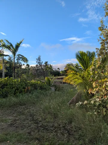 $165,000 | 12-7136 Lot 98 Kalaunu Street, Pahoa, HI 96778