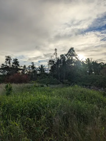 $165,000 | 12-7136 Lot 98 Kalaunu Street, Pahoa, HI 96778