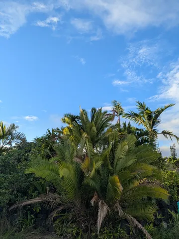 $165,000 | 12-7136 Lot 98 Kalaunu Street, Pahoa, HI 96778