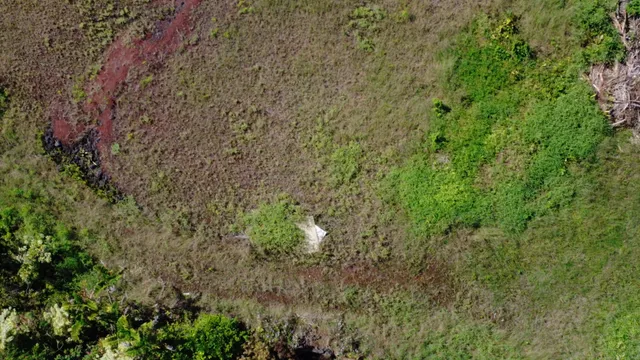 $165,000 | 12-7136 Lot 98 Kalaunu Street, Pahoa, HI 96778