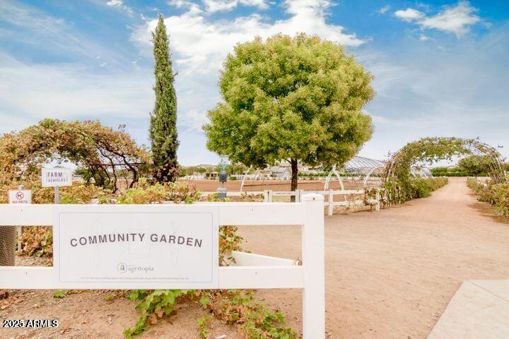 3059 East Agritopia Loop North Gilbert, AZ 85296 - Photo 85 of 85 a view of ocean