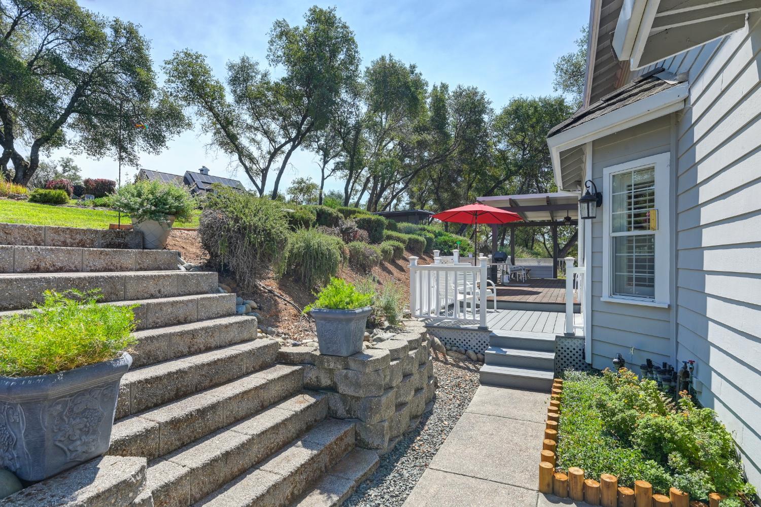 3730 Kimo Way Auburn, CA 95602 - Photo 44 of 75 a view of a patio with chairs and plants