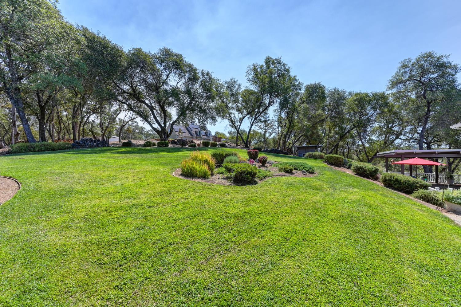 3730 Kimo Way Auburn, CA 95602 - Photo 50 of 75 a garden view