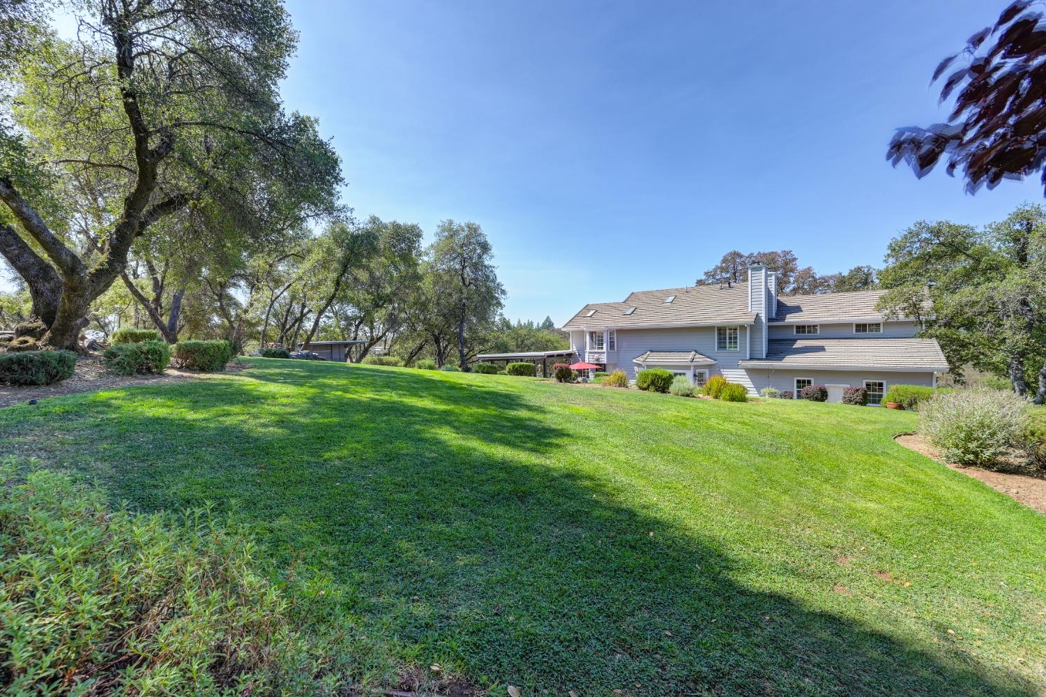 3730 Kimo Way Auburn, CA 95602 - Photo 51 of 75 a view of a house with a big yard