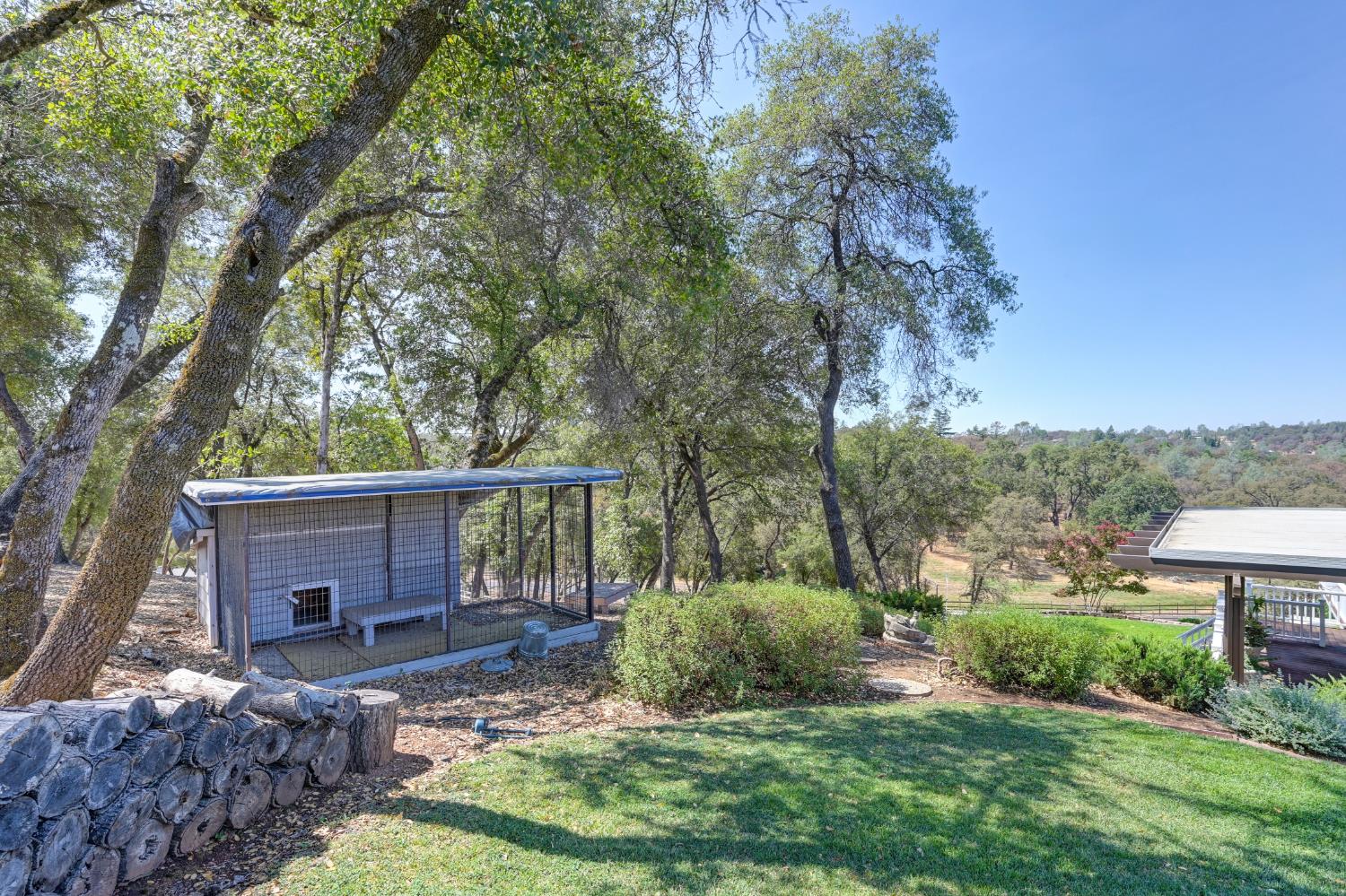 3730 Kimo Way Auburn, CA 95602 - Photo 56 of 75 a view of a house with backyard and a tree