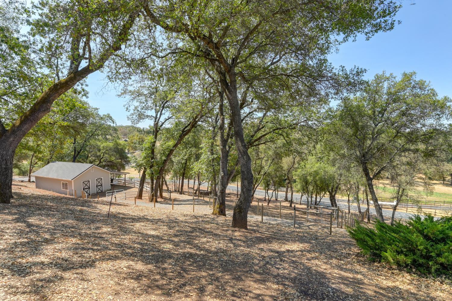 3730 Kimo Way Auburn, CA 95602 - Photo 61 of 75 a view of a trees with a yard