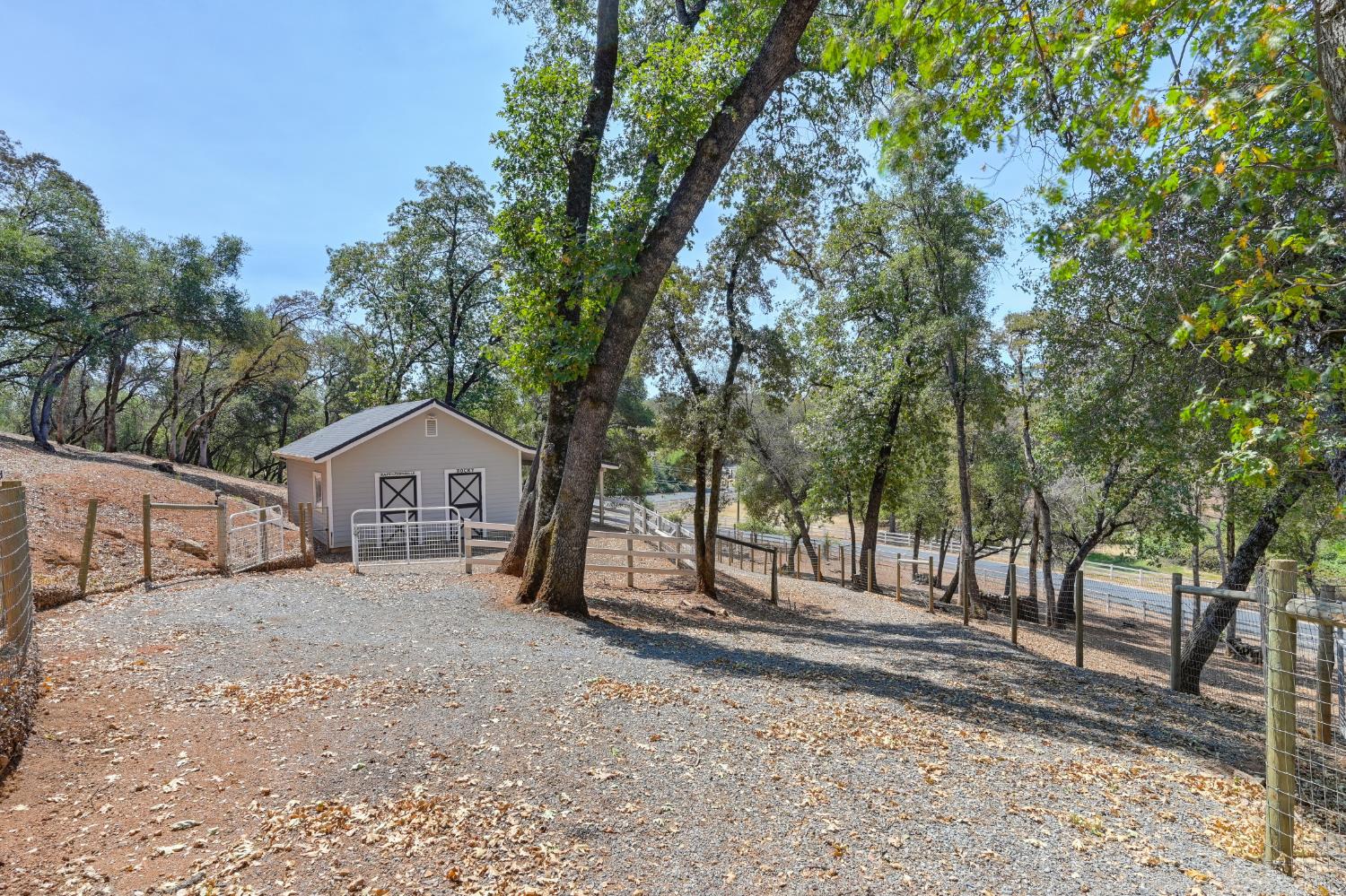 3730 Kimo Way Auburn, CA 95602 - Photo 63 of 75 a view of a house with a large tree and a yard