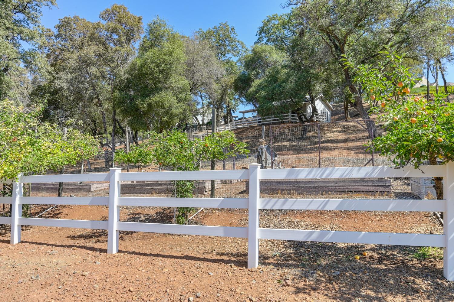 3730 Kimo Way Auburn, CA 95602 - Photo 70 of 75 a view of a backyard of the house