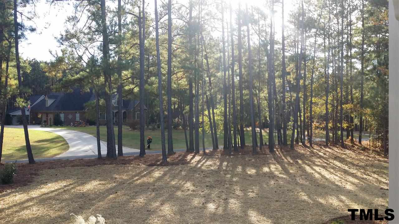 665 Tilghman Road Coats, NC 27521 - Photo 23 of 25 a view of outdoor space with deck and trees