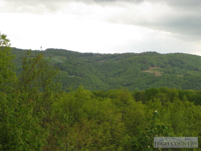 484 St Andrews Road Beech Mountain, NC 28604 - Photo 18 of 32 Gallery Image 18