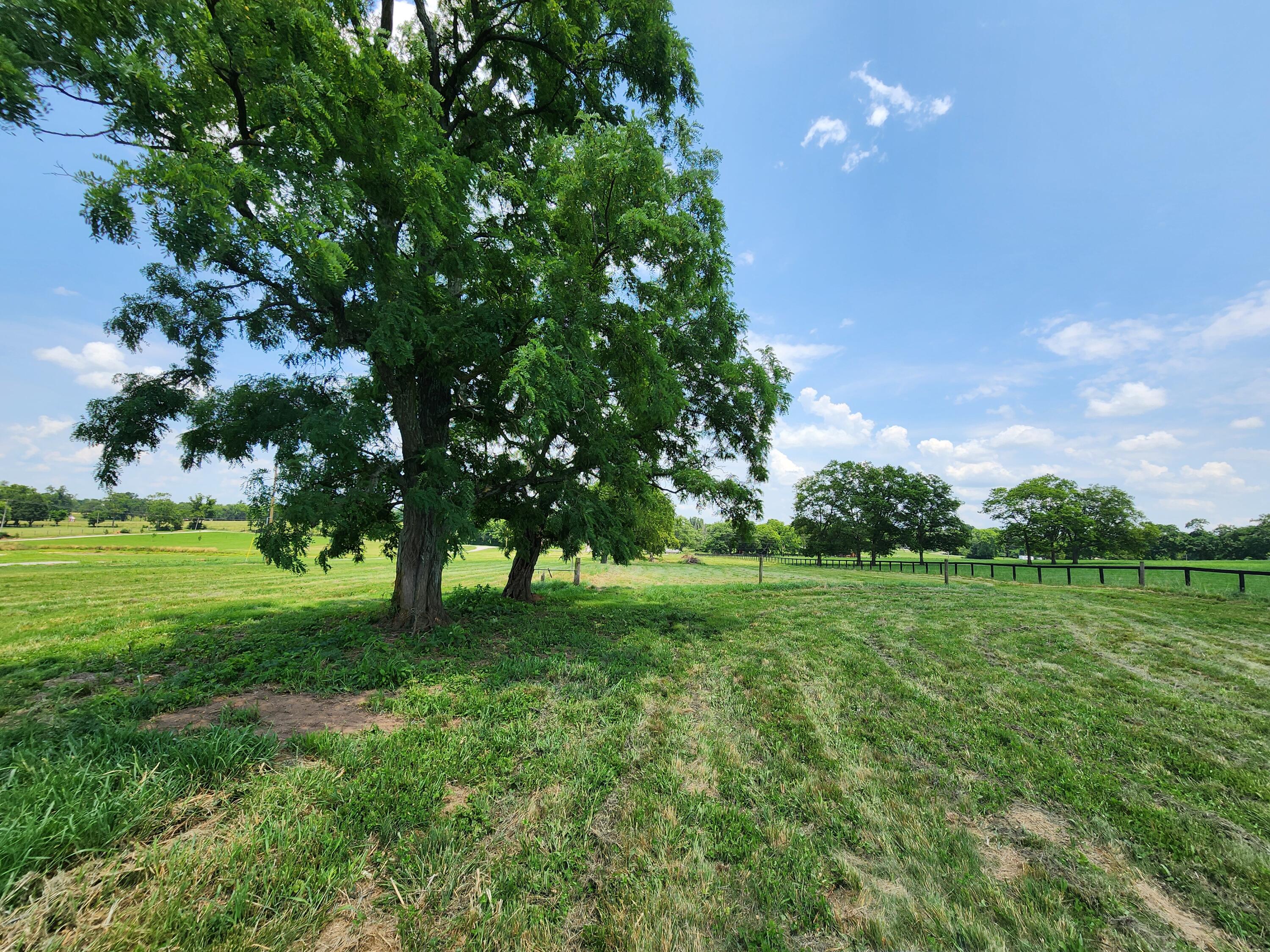 3540 Ironworks Road Georgetown, KY 40324 - Photo 10 of 15 20240617_134500