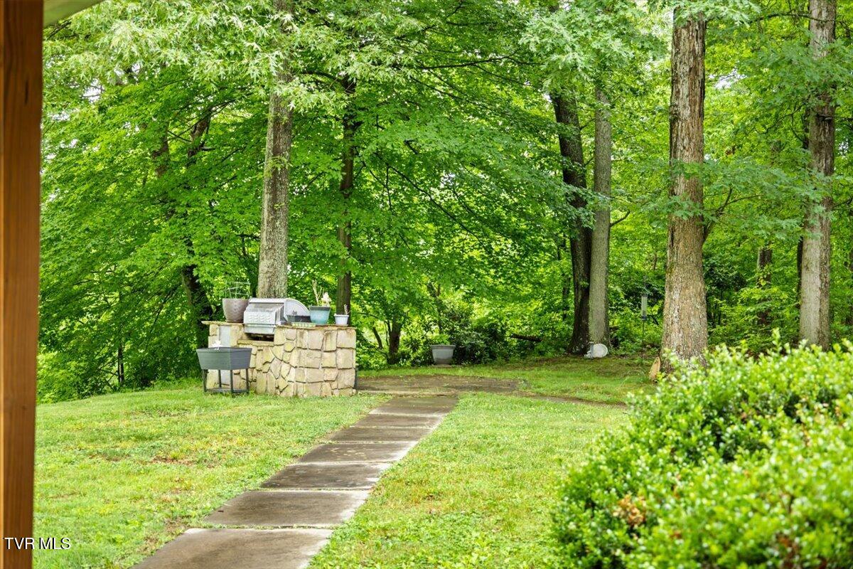 1594 Christian Bend Road Church Hill, TN 37642 - Photo 81 of 123 022-128A2326