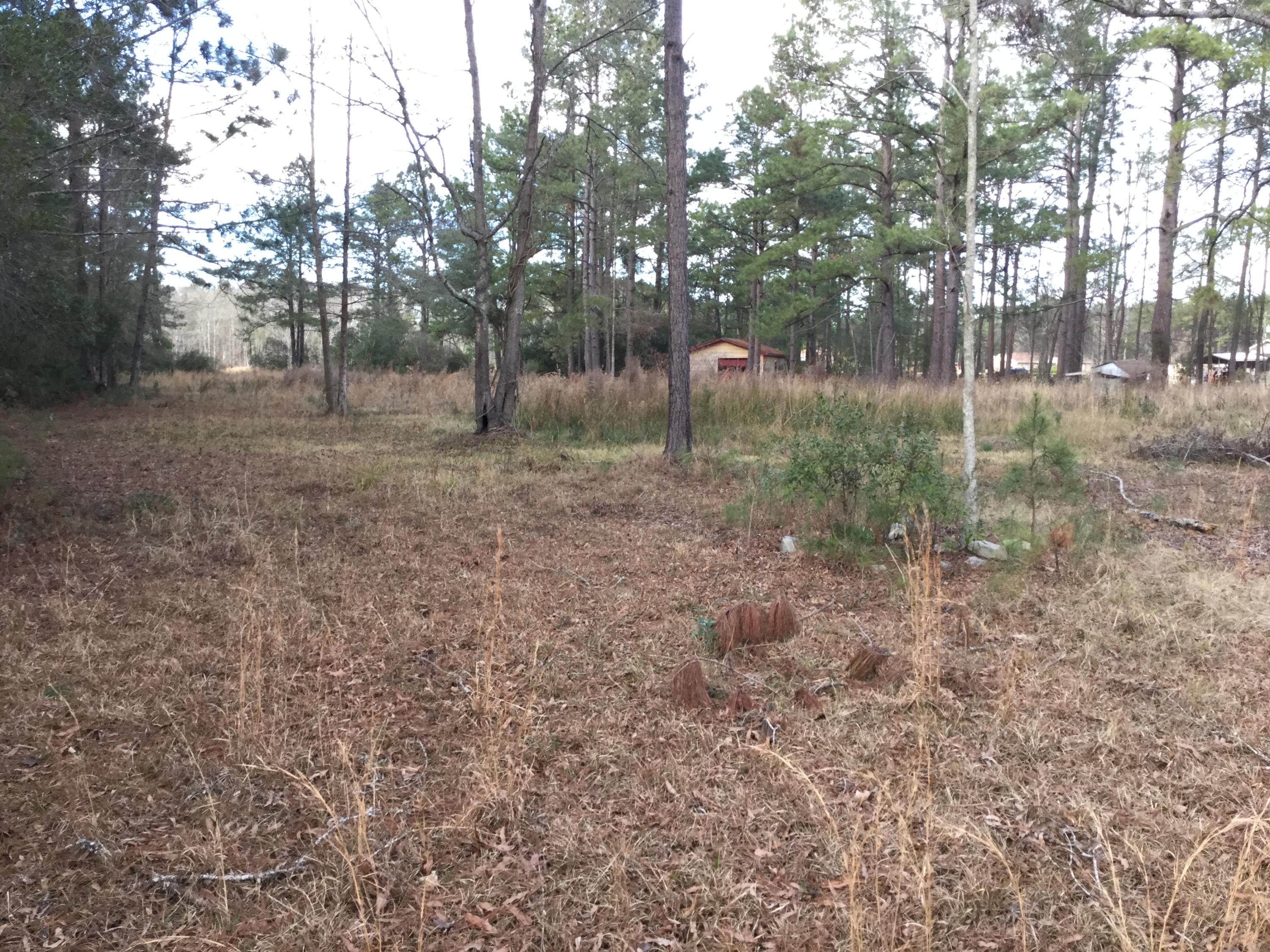 140 Prince Thomas Road Summerville, SC 29483 - Photo 2 of 5 IMG_0806