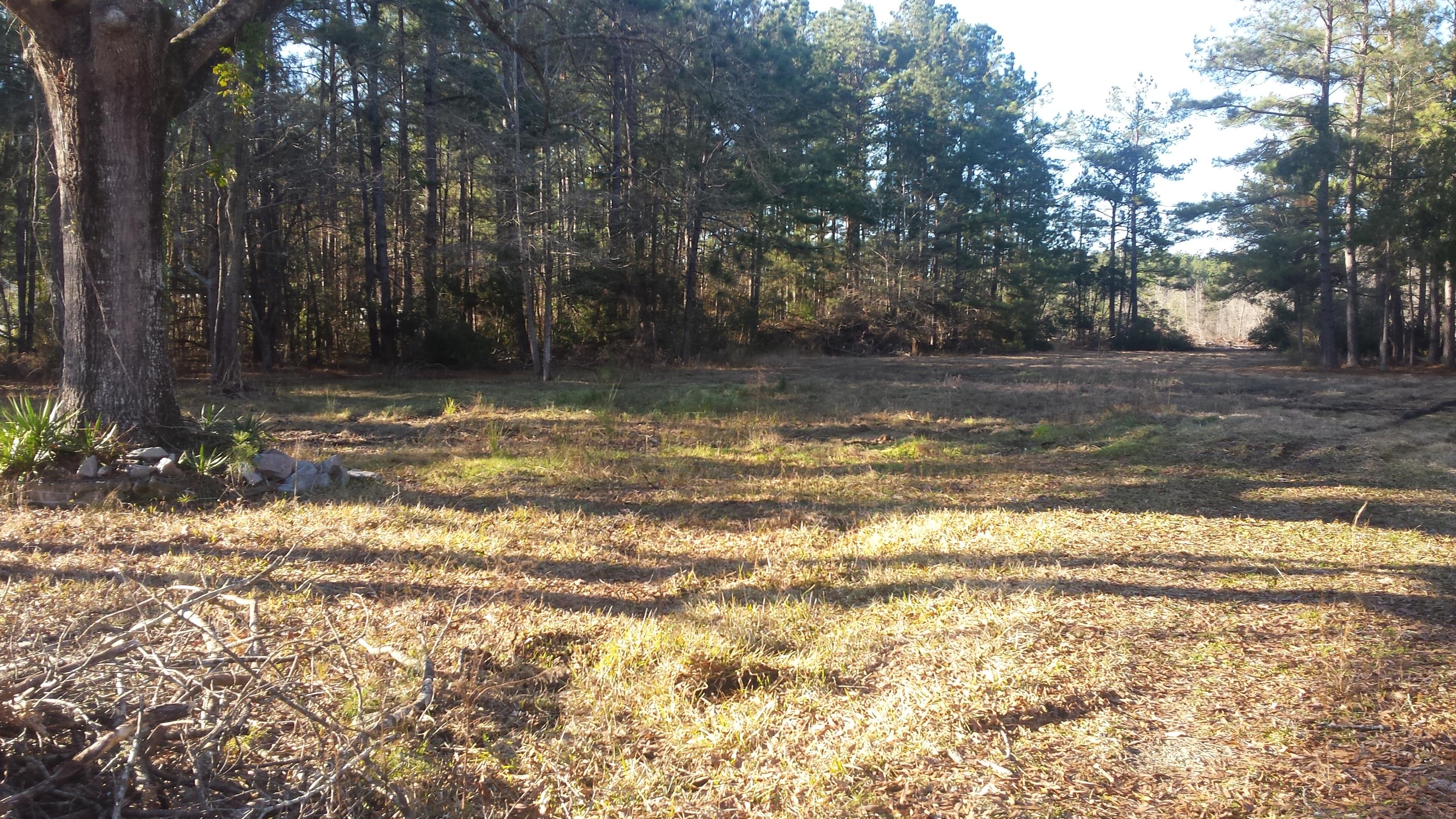 140 Prince Thomas Road Summerville, SC 29483 - Photo 3 of 5 20150118_153850
