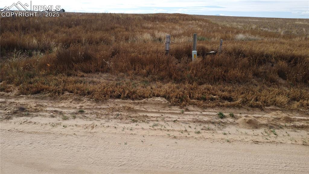 Rush Road Rush, CO 80833 - Photo 20 of 21 a view of a dry yard with trees