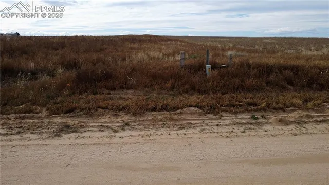 a view of a dry yard with wooden floor and a yard
