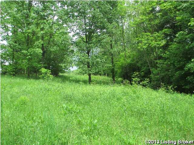1268 Trout Ridge Road Bedford, KY 40006 - Photo 4 of 6 Additional Photo