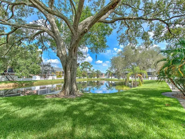 a view of a garden with a tree