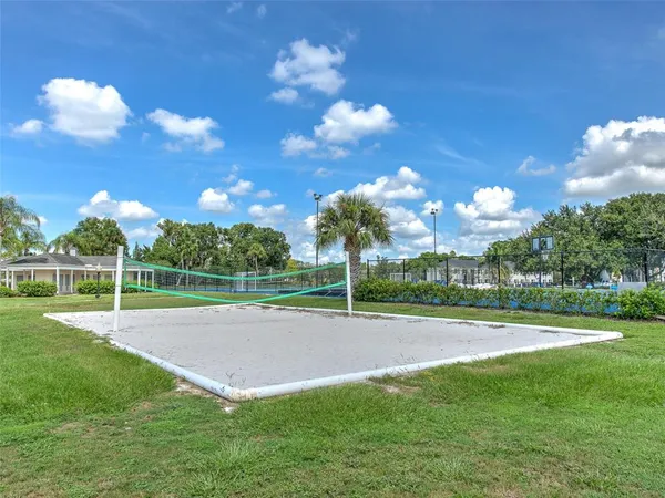 a backyard of a house with plants and large tree