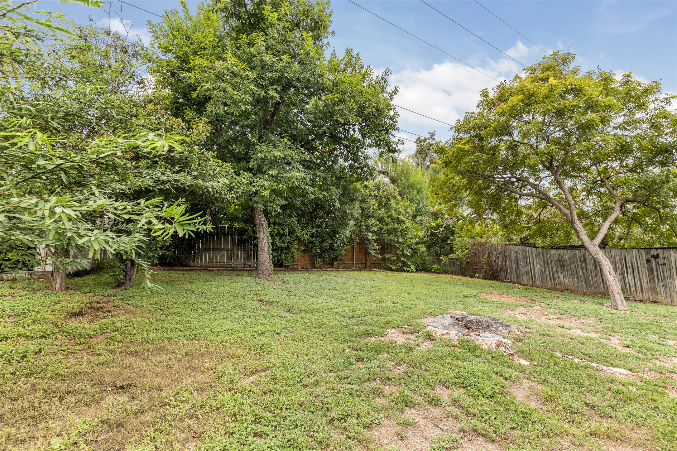 7506 Glenhill Road Austin, TX 78752 - Photo 22 of 24 Backyard with mature trees and a covered patio offers a private outdoor retreat.