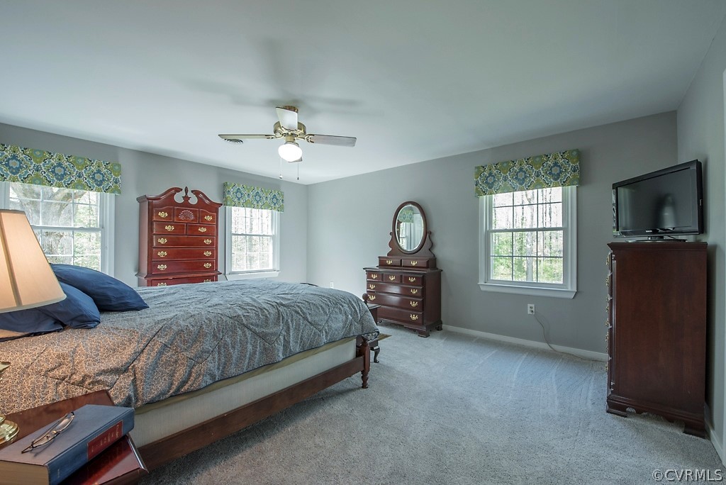 14038 Spring Road Montpelier, VA 23192 - Photo 35 of 50 Gallery Image 35