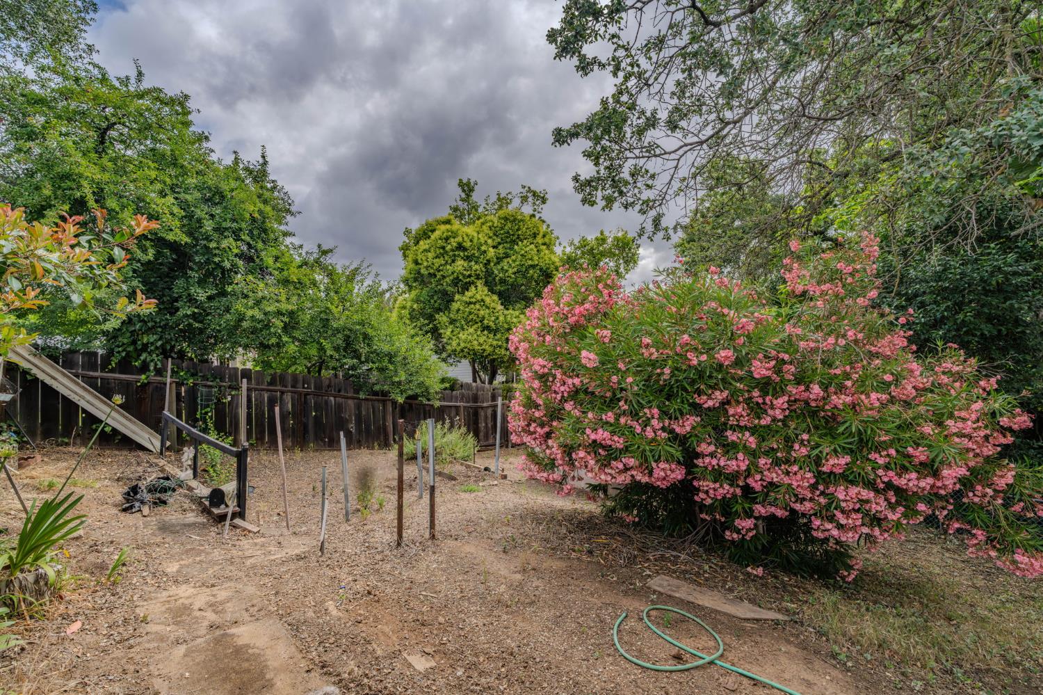 626 Sutter Lane Ione, CA 95640 - Photo 19 of 21 a backyard of a house with lots of green space