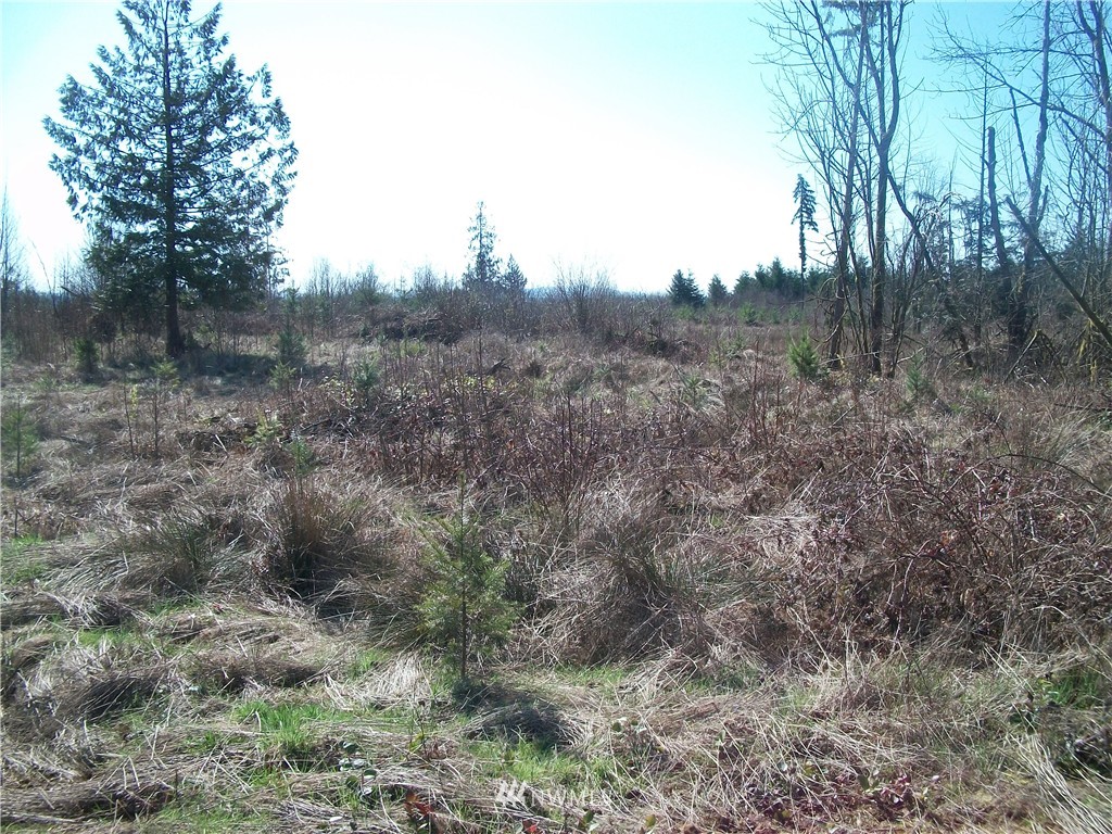2 Brim Road Onalaska, WA 98570 - Photo 1 of 1 Gallery Image 1